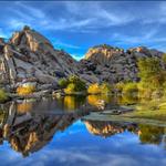 Joshua Tree National Park