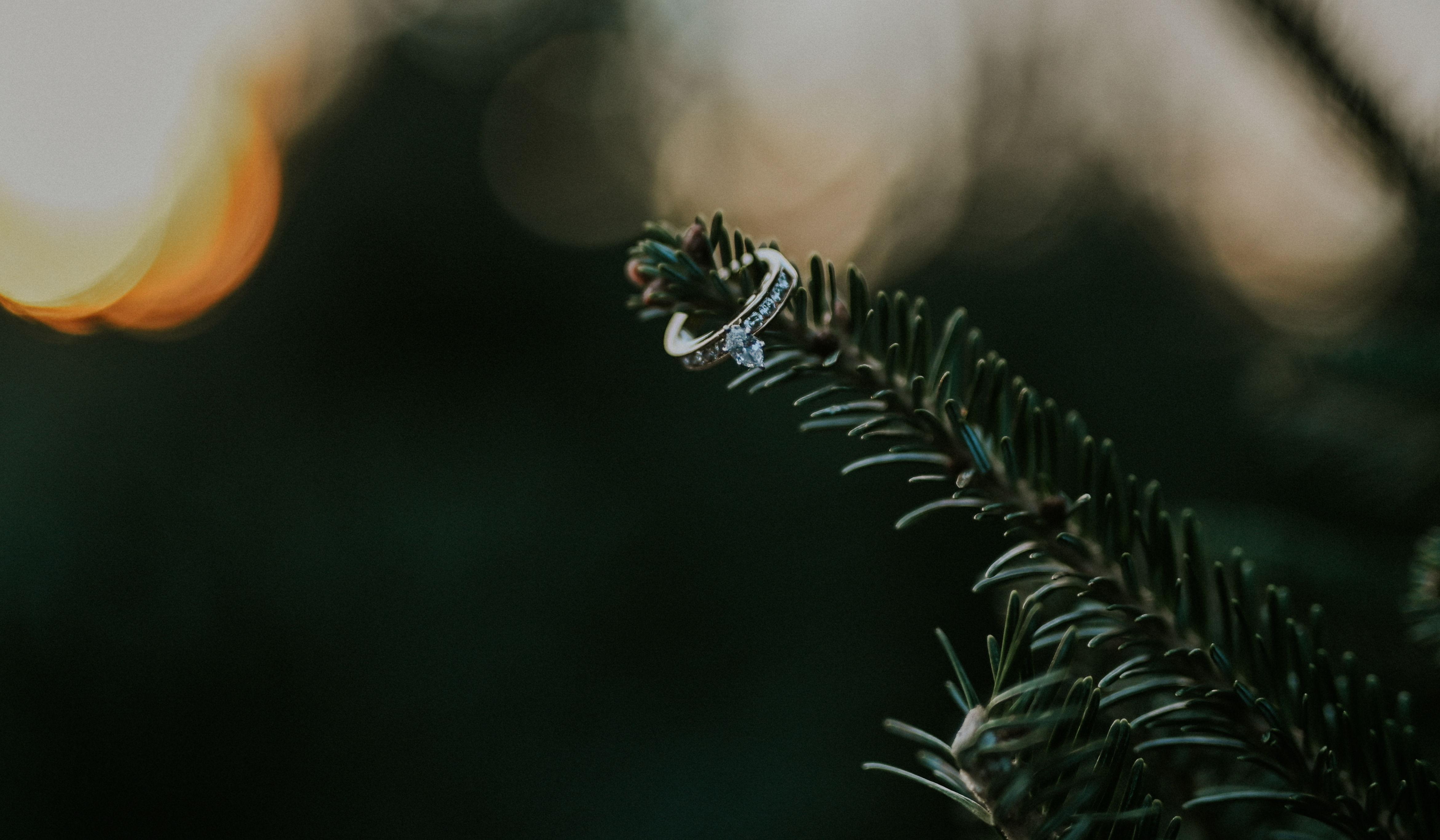 Hero Slideshow Image 3