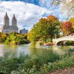Central Park