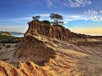 Hike at Torrey Pines State Reserve