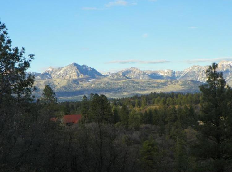 The Wedding Website of Madison Chandler and Dalton Randall