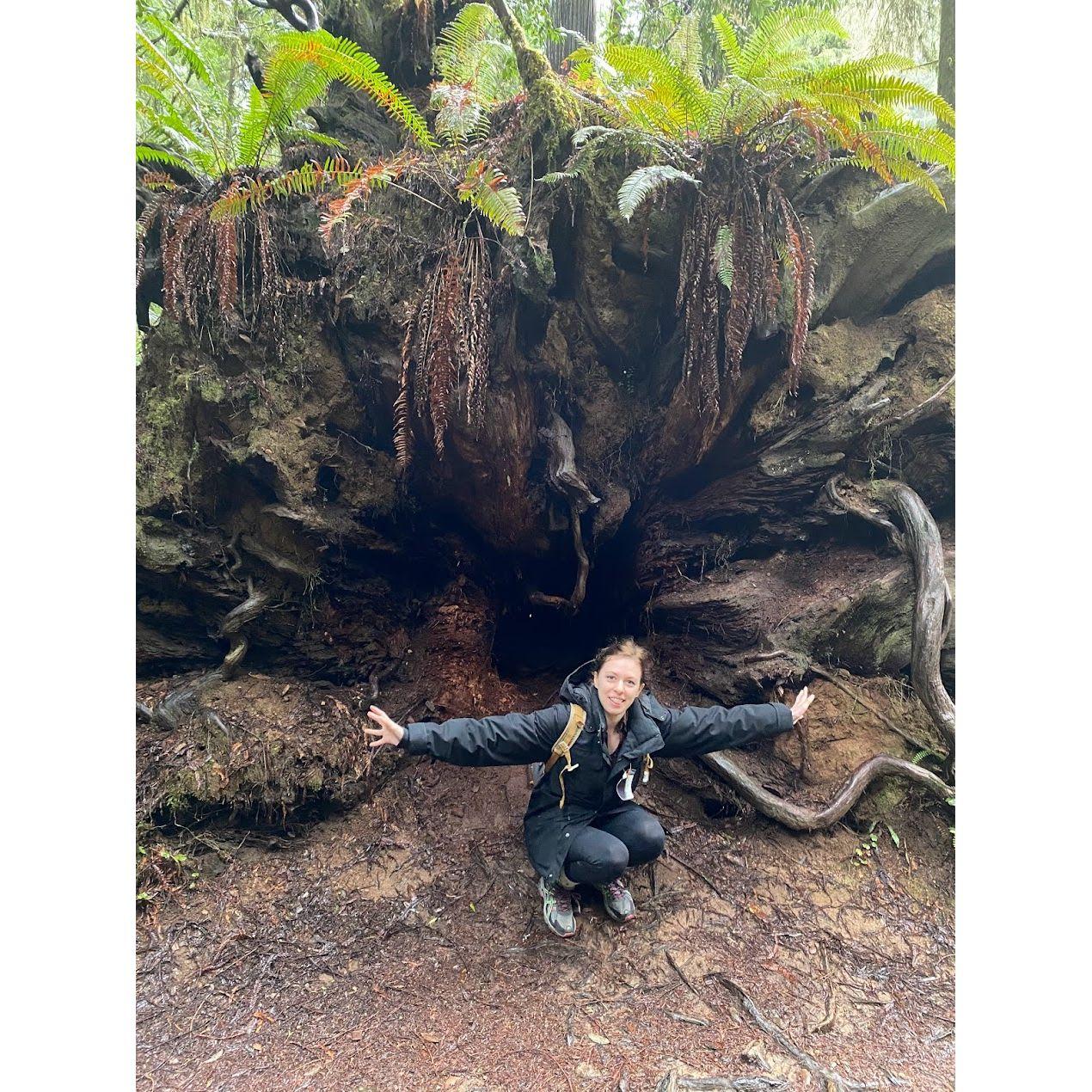 Nicole right after she knocked this tree over