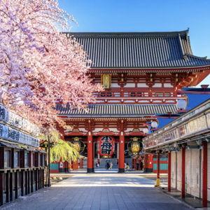 Our Honeymoon in Japan