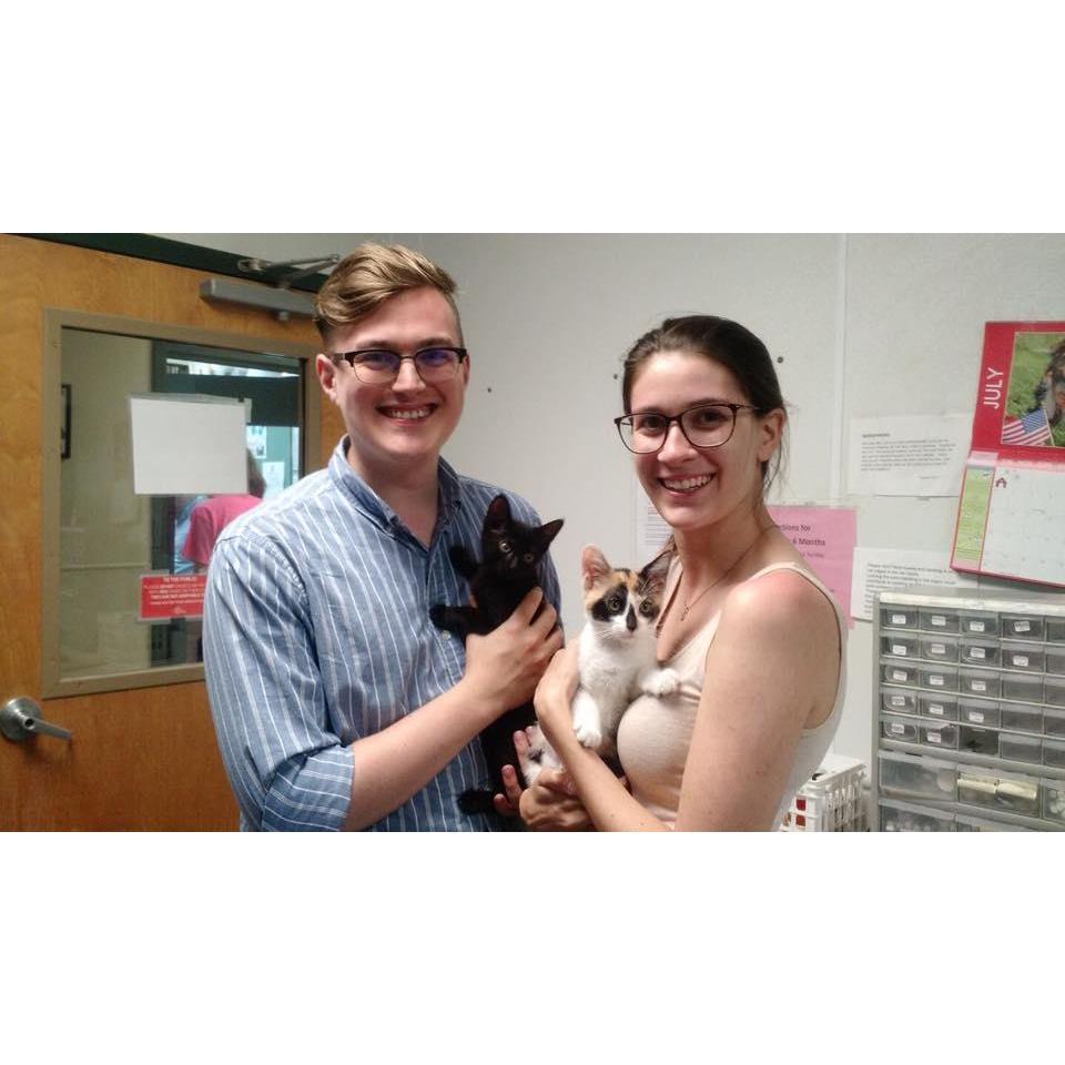 Adopting our kitties, Lola (black) & Margot (calico).