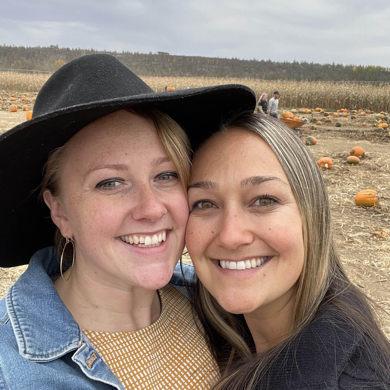 Pumpkin patch