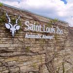 Saint Louis Zoo