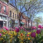 Pearl Street Mall