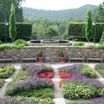 Asheville Arboretum
