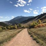 Local Hikes