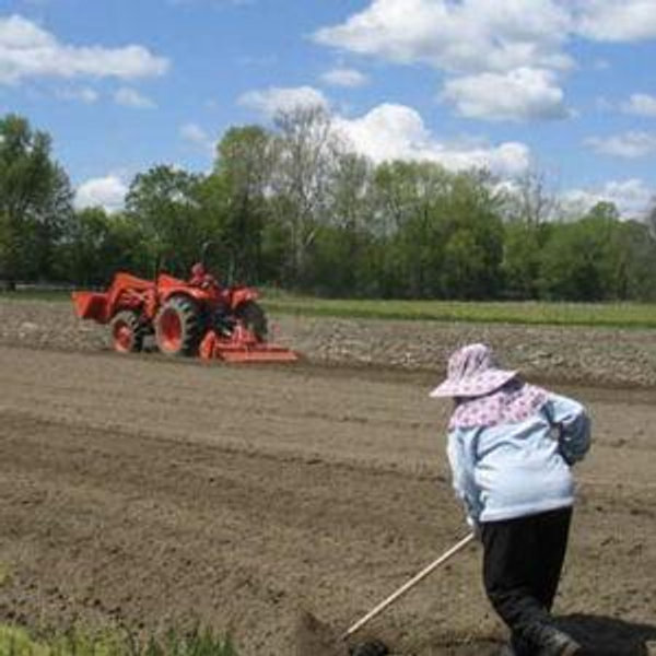 World Farmers