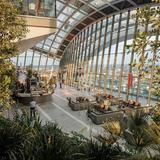 Sky Garden