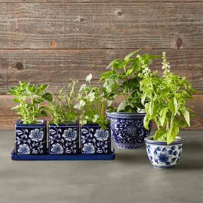 Blue & White Ultimate Mini Planter Set