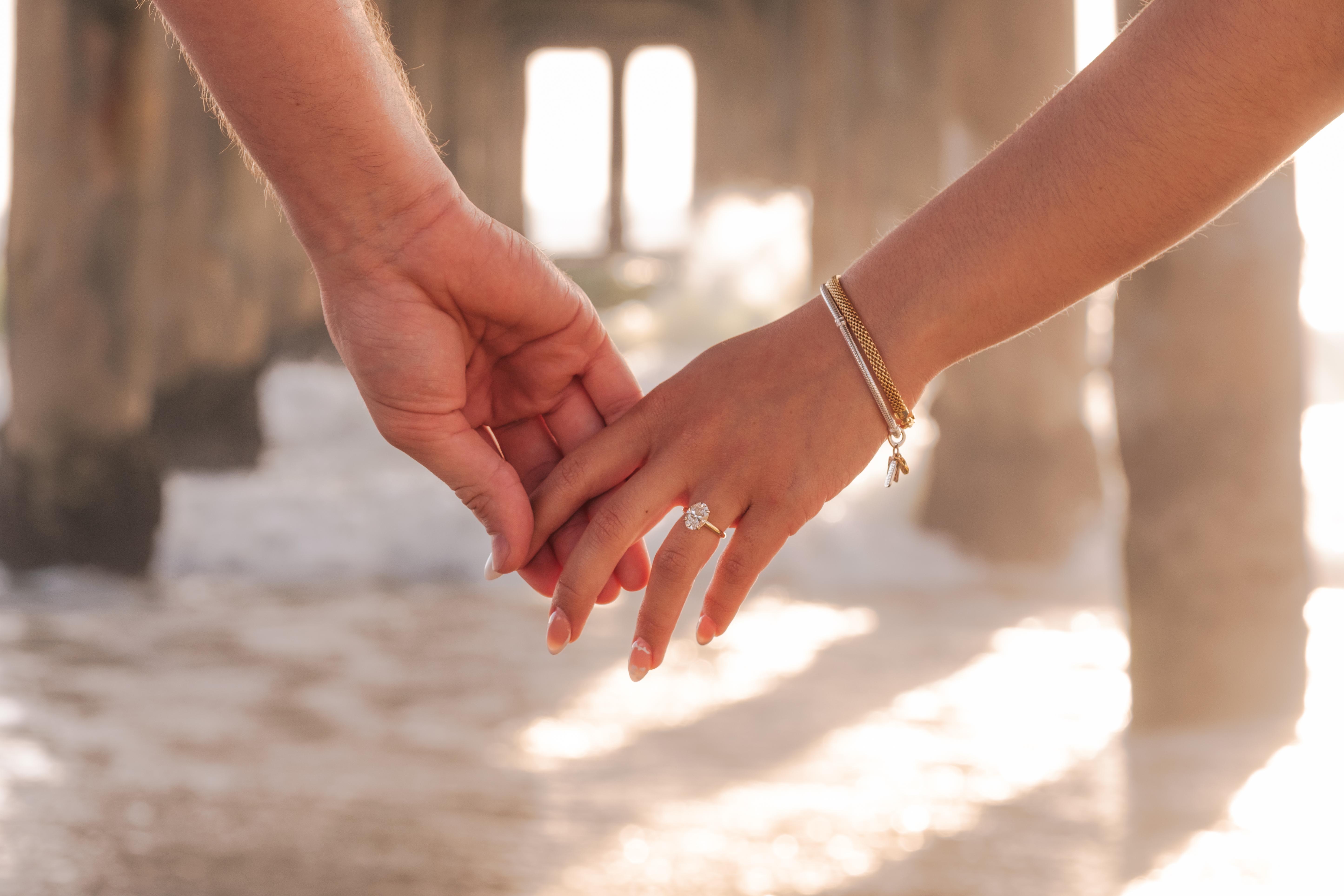 The Wedding Website of Daniela Noricumbo and Francisco Javier Ornelas