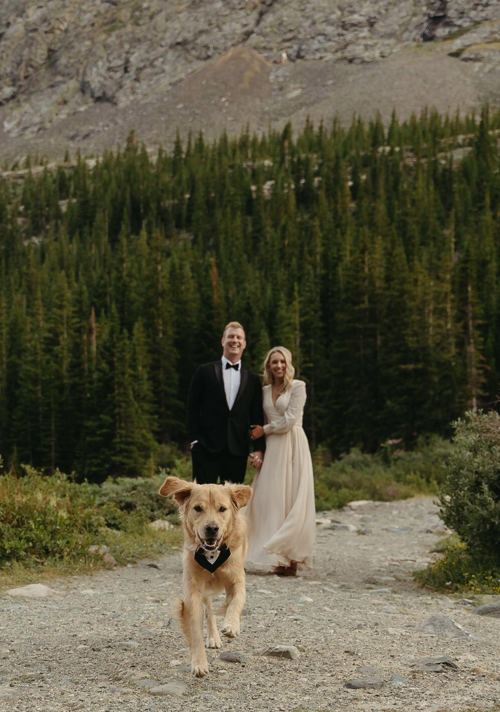 The Wedding Website of Alexandra Mutschler and Will Gustafson