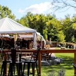The Saratoga Winery