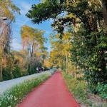 Katy Trail