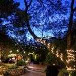 Tucson Botanical Gardens