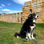 Fort Popham State Historic Site