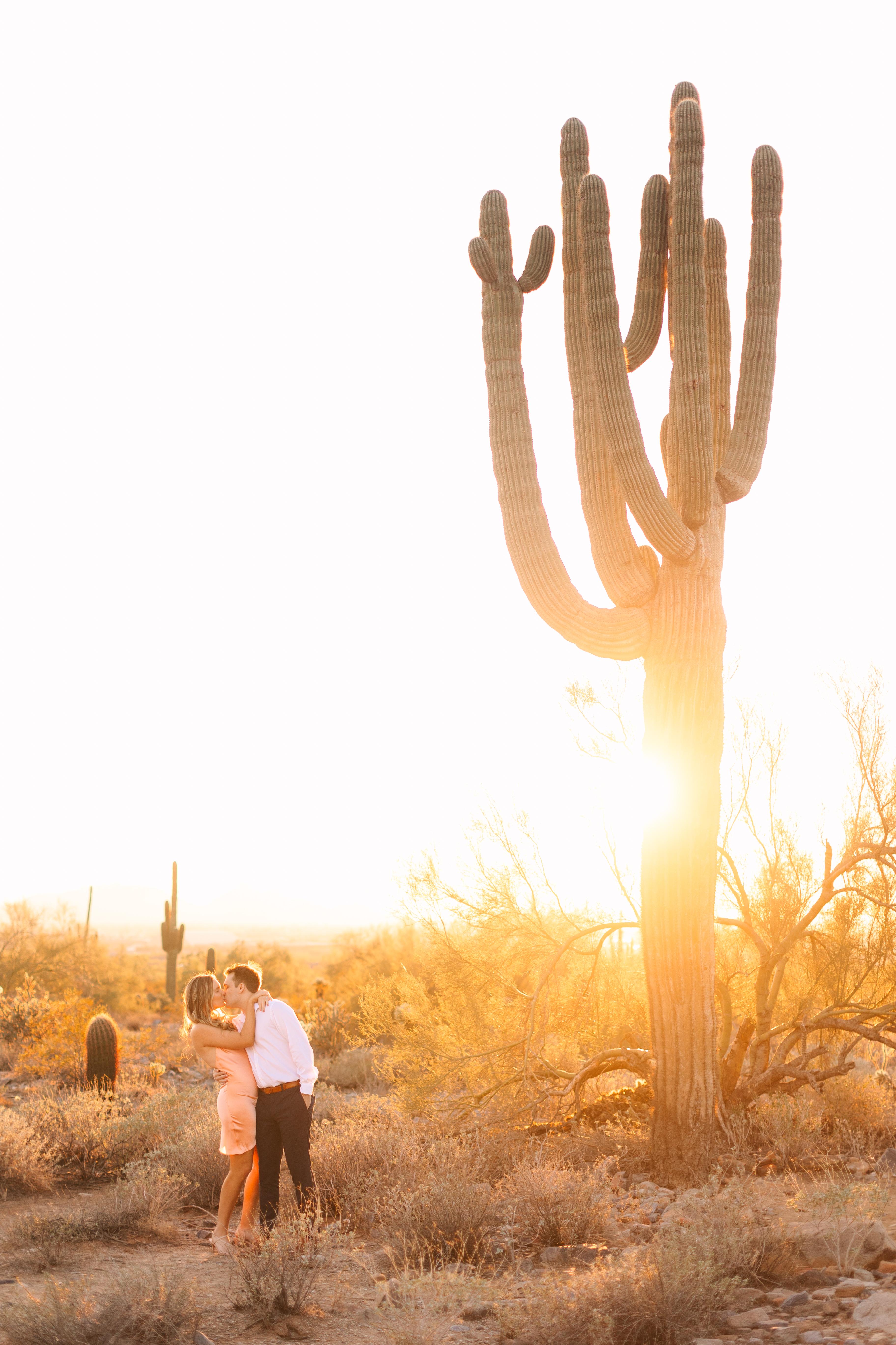 The Wedding Website of Colleen Wilkowski and Davis Tailer