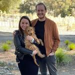 Reeve Wines