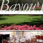 Bayou Bend Collection and Gardens