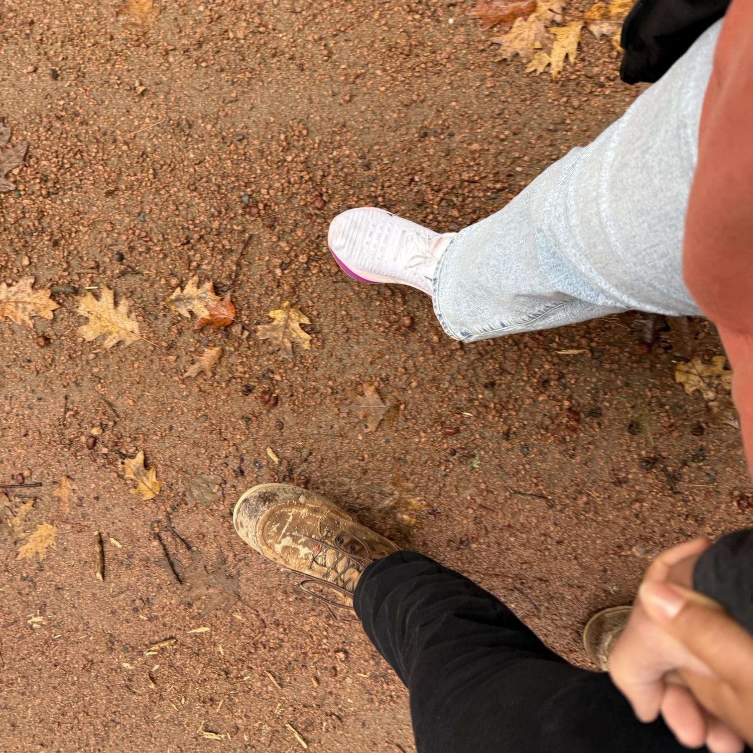 lots of walks