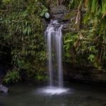 El Yunque National Forest