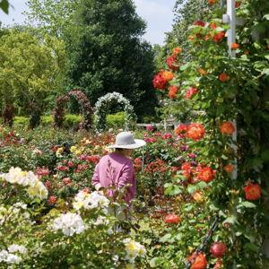 The Huntington Gardens Membership