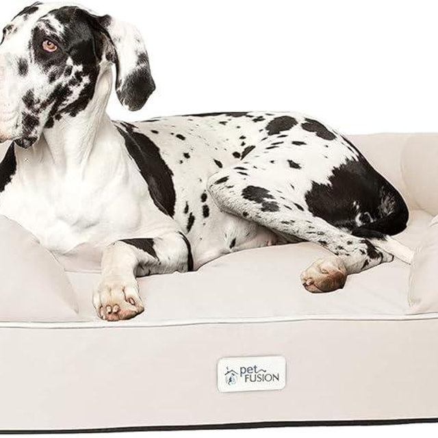 PetFusion Ultimate Dog Bed, Orthopedic Memory Foam, Multiple Sizes and Colors, Medium Firmness Pillow, Waterproof Liner, YKK Zippers, Breathable 35% Cotton Cover