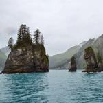 Kenai Fjords Cruises