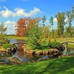 The Dawes Arboretum