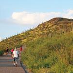 Tumamoc Hill Hiking Trail