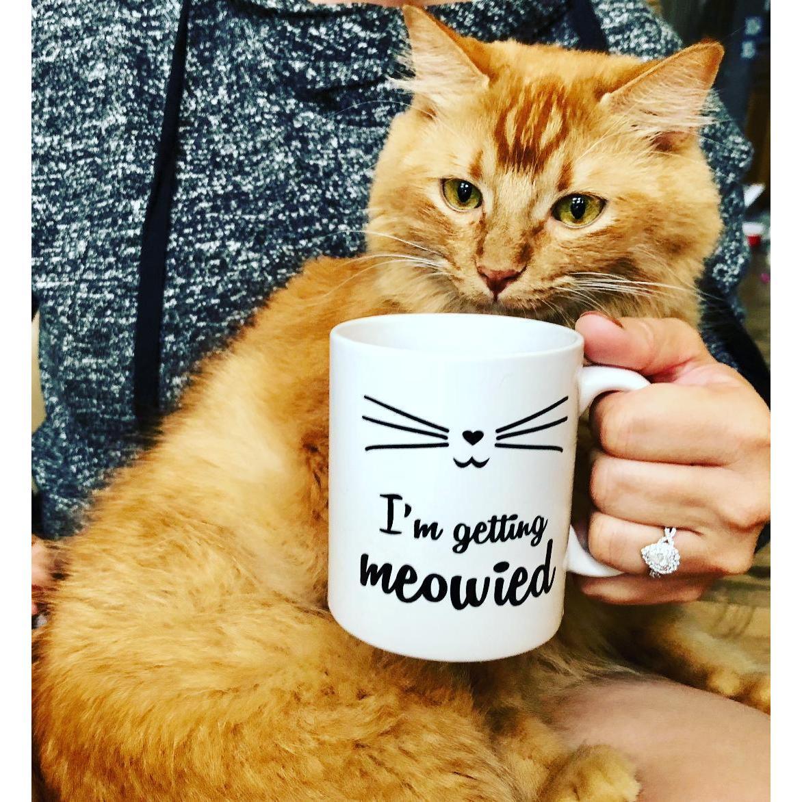 Our engagement announcement had to include some help from our little gentleman!