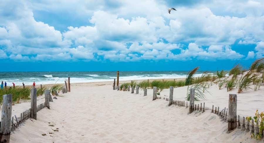 The Wedding Website of Corinne Dexter and Charlie Yotcoski