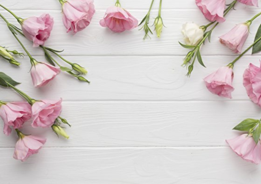 The Wedding Website of Shaheen Rahim and Mohammad Abdulqader