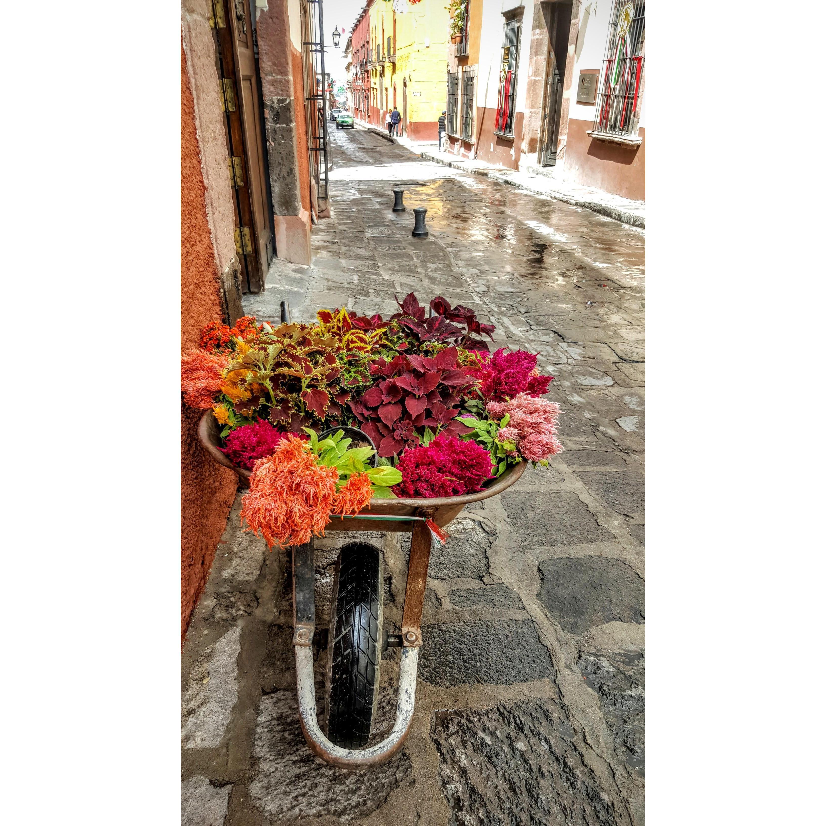 Amaneceres de San Miguel