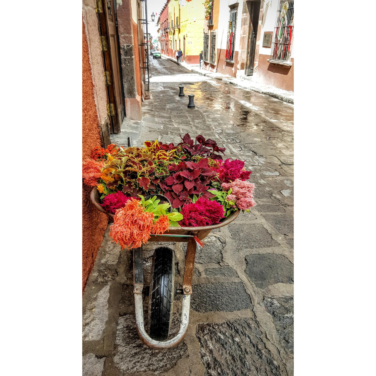 Amaneceres de San Miguel
