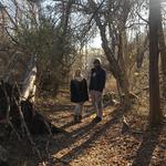 Norman Bird Sanctuary