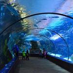 Omaha's Henry Doorly Zoo and Aquarium