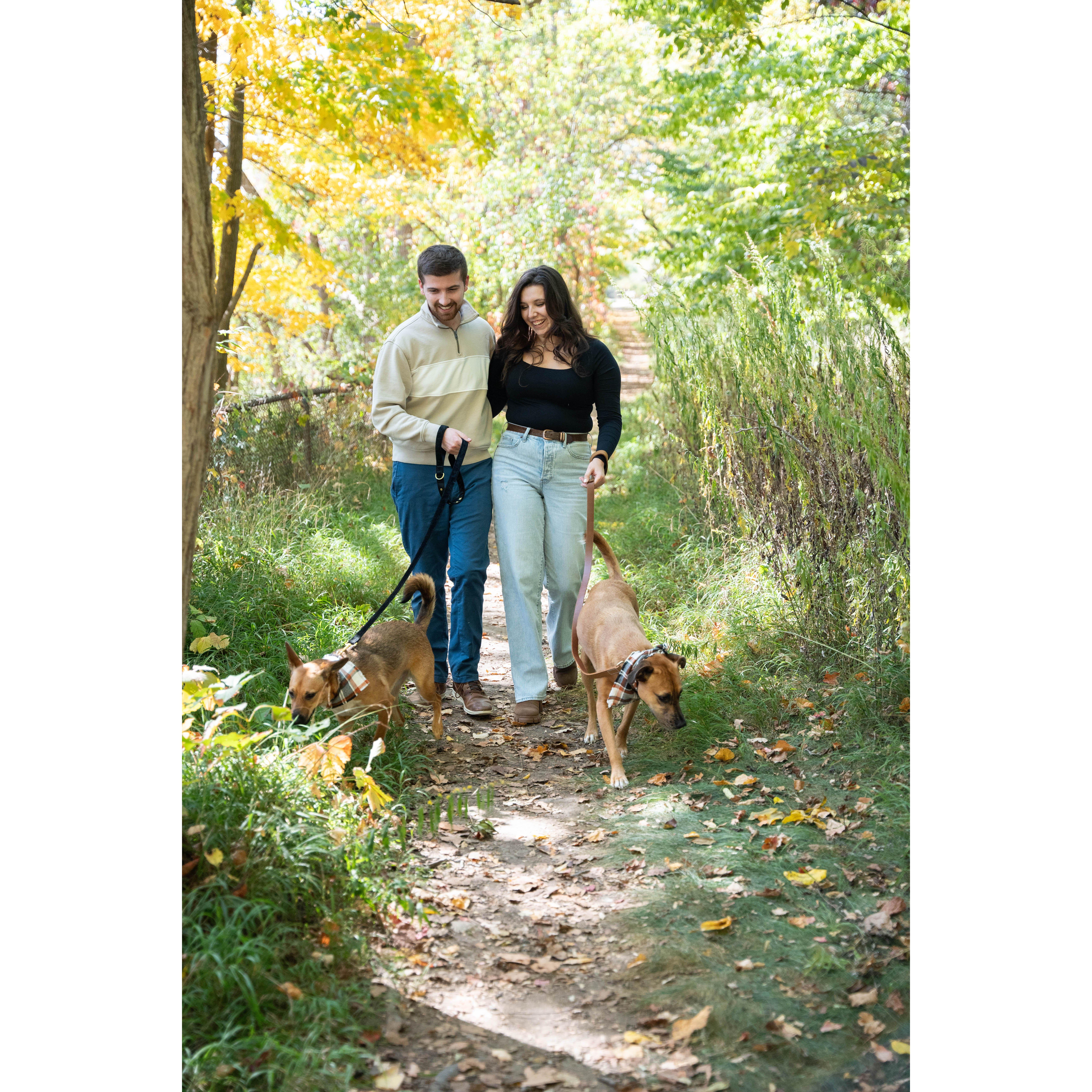 some of our favorite engagement photoshoot photos