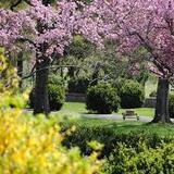 Morven Park Grounds