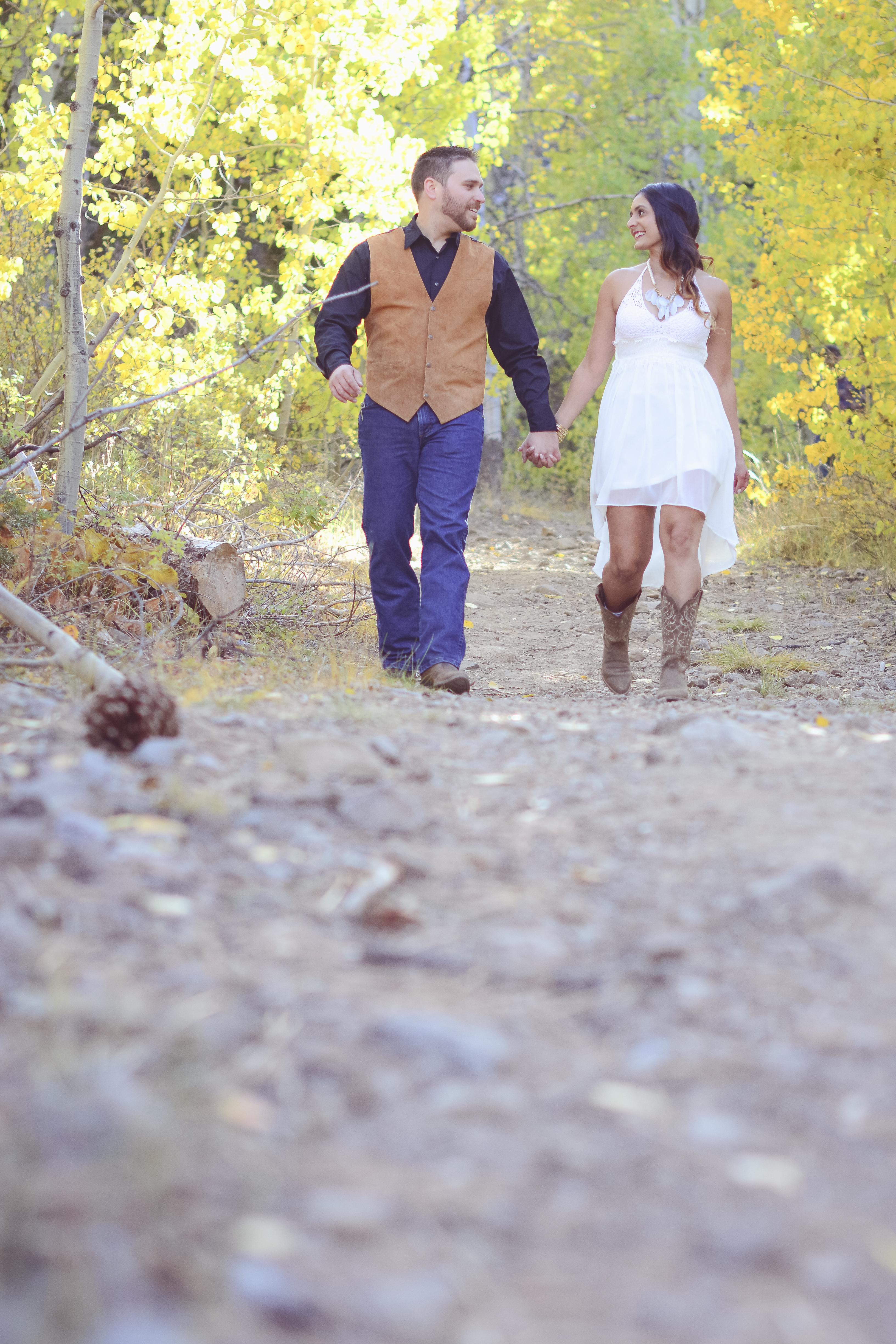 The Wedding Website of Mike Daniels and Meena Bassi