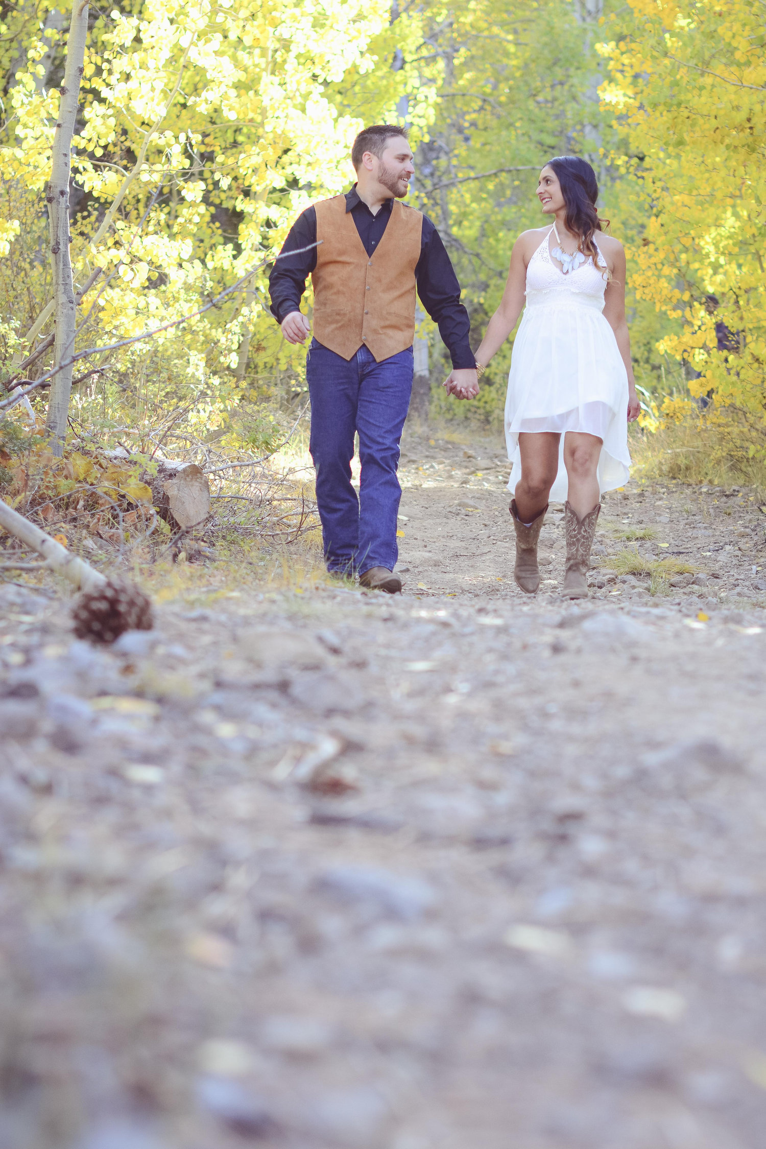 The Wedding Website of Mike Daniels and Meena Bassi