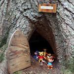 Winnie The Pooh Trail