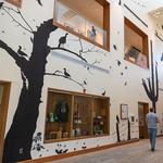 Cornell Lab of Ornithology