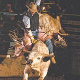 Buffalo Chip Saloon and Steakhouse
