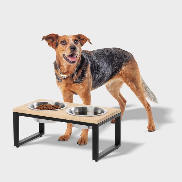 2 Cup Collapsible Short Elevated Feeder Double Cat & Dog Bowl - Boots & Barkley™
