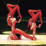 "O" by Cirque du Soleil