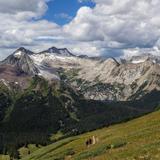 Hiking in Aspen