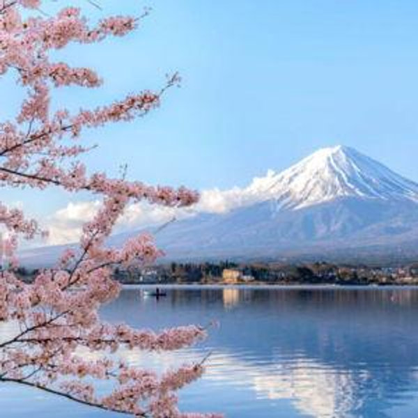 Honeymoon to Japan